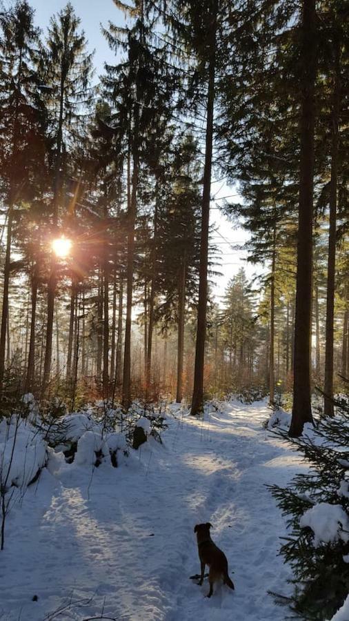 Im Erzgebirge Wandern, Fahrrad Fahren Oder Entspannen Ehrenfriedersdorf Eksteriør billede
